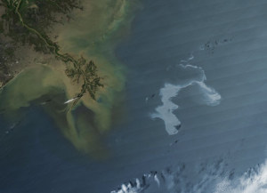 MODIS Image of the Gulf Oil Spill offshore from New Orleans, LA (NASA, 2010)